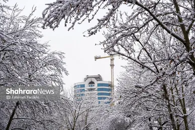 گزارش تصویری | بارش زیبای برف در مشهد