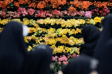 گل آرایی حرم امام رضا(ع) در دهه کرامت