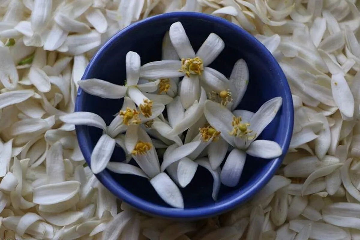 بهارنارنج چه خواصی دارد؟
