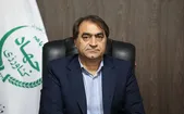 مرغداران نگران تأمین نهاده نباشند|توزیع خوراک دام و طیور با ارز دولتی