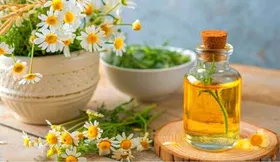 بابونه، گیاهی دارویی مناسب برای رفع بیماری&zwnj;های زنانه