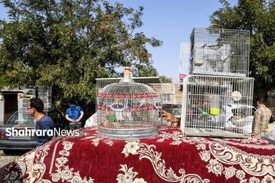 عکس‌هایی از جمعه‌بازار پرنده‌فروشان در شمال شرق مشهد