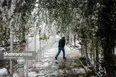 پیش‌بینی هواشناسی مشهد و خراسان رضوی امروز (چهارشنبه، ۲۴ دی ۱۴۰۴) | یخبندان در راه مشهد