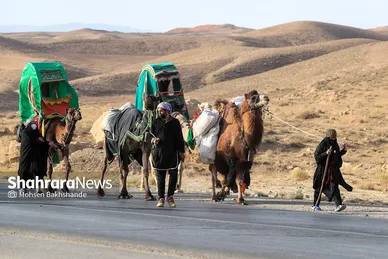 زائران پیاده امام رضا (علیه السلام)