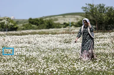 ایران زیباست | جنگل «فندقلو»