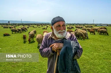 پتروشیمی میانکاله از نگاه دوربین