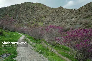 گزارش تصویری | دره «ارغوان» مشهد