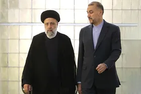 پیکر شهید امیرعبداللهیان وارد مشهد شد + فیلم