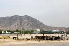 در &laquo;مهد توس&raquo; خبری از فروشگاه&zwnj;های شیکان&zwnj;پیکان نیست | بازاری که بوی گوسفند می&zwnj;دهد