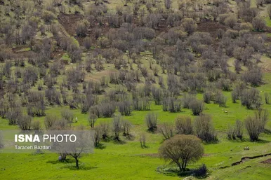 ایران زیباست | هفت حوض مخملکوه - لرستان