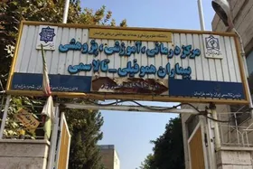 همه چیز درباره خدمات مرکز آموزشی و درمانی هموفیلی و تالاسمی به بیماران