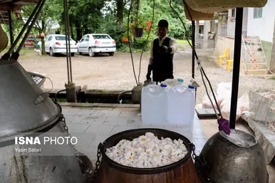ایران زیباست | گلاب گیری در روستای گیلده گیلان