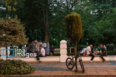 گزارش تصویری | شطرنج بازان سبزه میدان