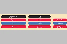یک تراریوم را چگونه بسازیم؟