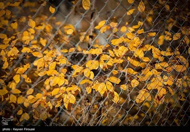 ایران زیباست | پاییز رنگارنگ کردستان