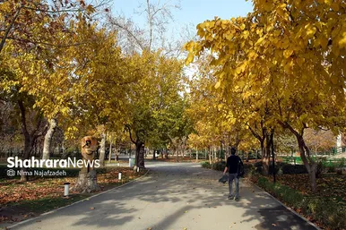 شکوه رنگ‌های پاییزی در پارک ملت مشهد