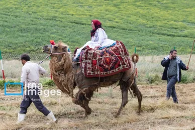 ایران زیباست | سی‌ویکمین جشنواره عشایر آذربایجان