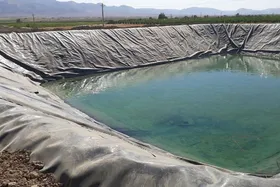 ۱۴ مورد غرق&zwnj;شدگی در استخر&zwnj;های کشاورزی و منابع آبی غیرمجاز از ابتدای سال ۱۴۰۴ در مشهد