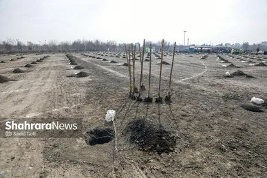 گزارش تصویری | مراسم هفته درختکاری در بوستان بهار مشهد (۱۱ اسفند ۱۴۰۳)