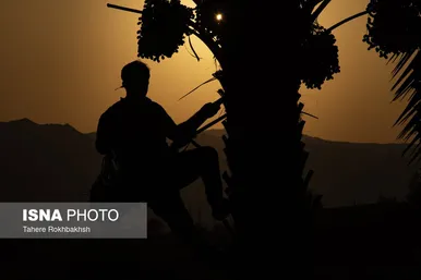 به مناسبت روز جهانی کار و کارگر