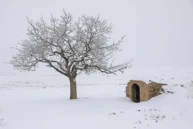 یک روز برفی