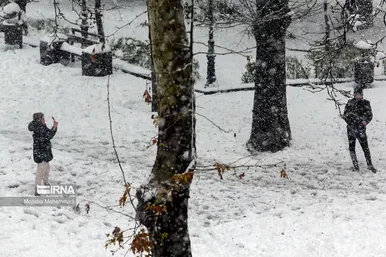 ایران زیباست | بارش برف در رشت