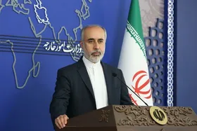 پست اینستاگرامی سخنگوی وزارت امور خارجه درباره ادعای برخی ایرانیان خارج نشین