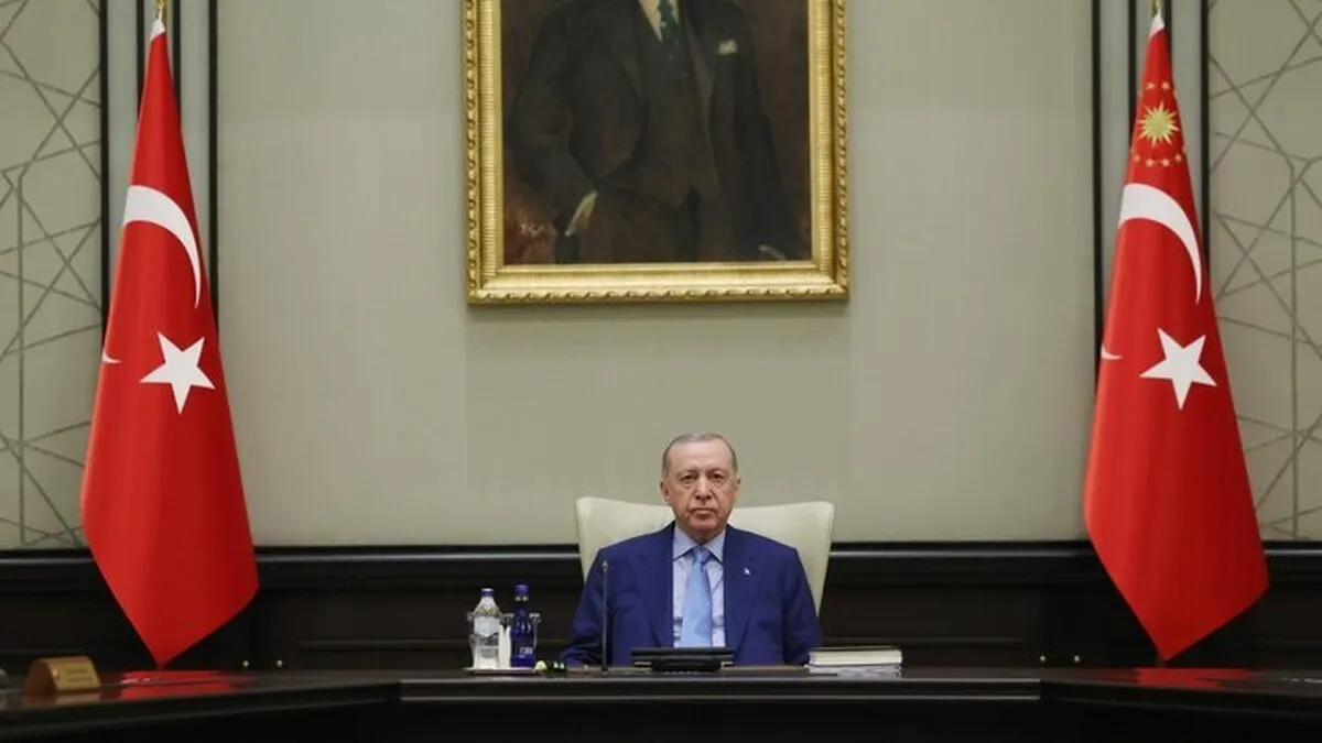 اردوغان استفاده از اسلحه در ترکیه را محدود می‌کند
