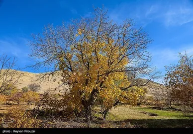 ایران زیباست | پاییز رنگارنگ کردستان