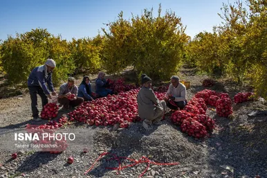 به مناسبت روز جهانی کار و کارگر