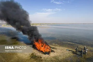 نگهبانان تالاب هورالعظیم