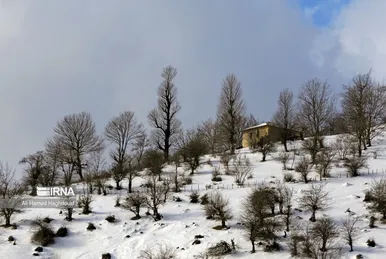 ایران زیباست | طبیعت برفی روستای «زندانه»
