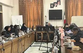 ۱۱ درصد درآمد ناخالص خراسان رضوی مربوط به شهرستان مشهد است