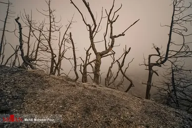 آتش سوزی منطقه حفاظت شده جهان نمای  گلستان