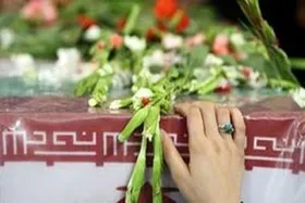 ویدئو | خواب&zwnj;هایی که زیارت عاشورا تعبیرشان کرد!