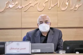 موحدیان: تاکنون هیچ طرحی برای حمایت از شهرخودرو به شورا نیامده است