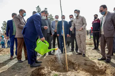 پویش سراسری درخت‌کاری