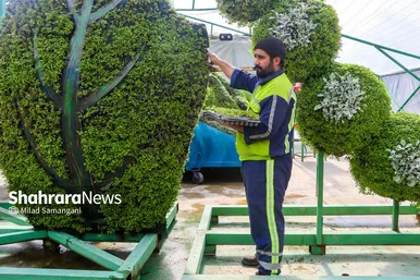 گزارش تصویری | مرکز تولیدات گل و گیاه شهرداری مشهد