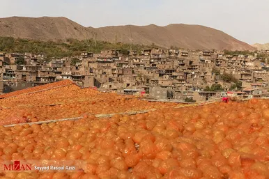 بام‌های طلایی خرو