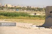 کاهش ۳۰ درصدی مبتلایان به سالک در یکسال اخیر با اقدامات شهرداری مشهد | مبارزه با سالک جواب داد