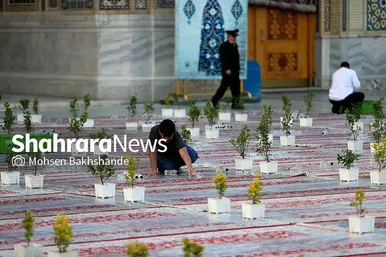 توزیع افطاری در باب الکاظم حرم مطهر امام رضا(ع)