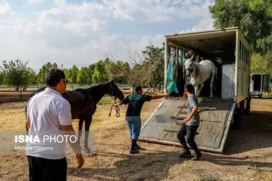 عکس‌هایی از مسابقات هفته ششم لیگ ملی چوگان بانوان - جام لاله