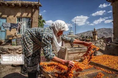 پشت بام های طلایی خَروْ