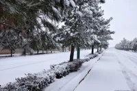 ویدئو| بارش سنگین برف منطقه سارال کردستان