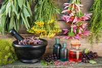 ۵ گیاه معطر که پشه‌ها را از شما دور می‌کنند