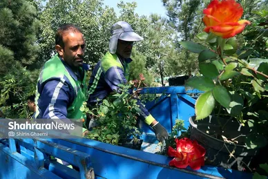 گزارش تصویری | بازدید خبرنگاران از پروژه‌های فضای سبز دردست‌ساخت معاونت خدمات شهری