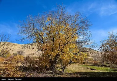ایران زیباست | پاییز رنگارنگ کردستان
