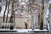 پیش‌بینی هواشناسی مشهد و خراسان رضوی امروز (یکشنبه، ۲۱ دی ۱۴۰۴) | مشهدی‌ها منتظر برف و باران باشند