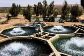 ۹ مزرعه ماهی خاویاری در خراسان رضوی فعال است