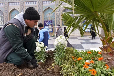 گل‌آرایی حرم مطهر رضوی در آستانه عید نوروز